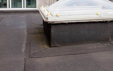 disadvantages of Port Eynon flat roofs