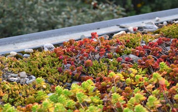 the cost of Port Eynon green roof installation