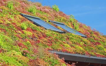 Port Eynon living roof systems