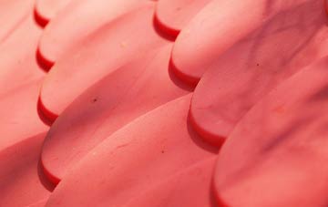 Port Eynon plastic roof costs