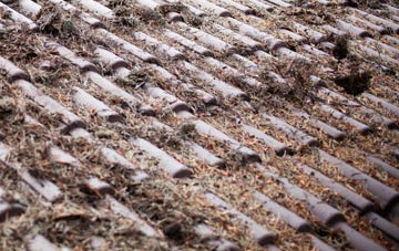 Port Eynon roof cleaning companies