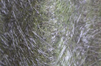 Port Eynon fibreglass roof work